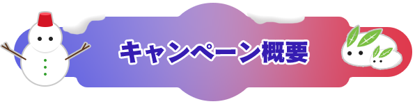 キャンペーン概要
