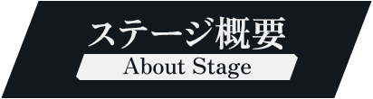 ステージ概要 About Stage